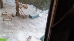 понедельник за окном