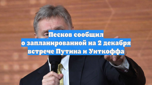 Песков сообщил о запланированной на 2 декабря встрече Путина и Уиткоффа