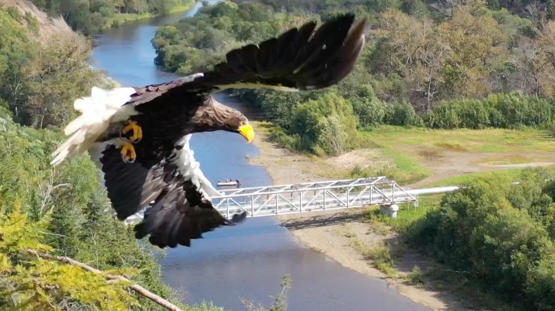 Набиль 2025 длинный смотреть онлайн