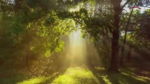 Короткие Мудрые наставления Фаддея Витовницкого