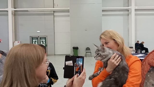 Зимняя Выставка Кошек Winter Cats Show 2025