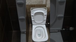 Монтаж, настройка, неисправности унитаза торнадо Azario