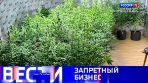 Вести Санкт-Петербург. Выпуск 09.30 от 01.12.2025