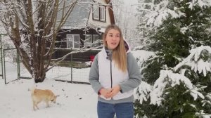 ДЕРЕВЕНСКАЯ ЖИЗНЬ , ОБЗОР БЮДЖЕТНОГО ДОМА