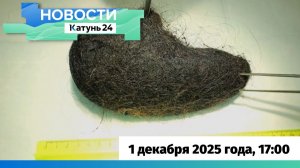 Новости Алтайского края 1 декабря 2025 года, выпуск в 17:00