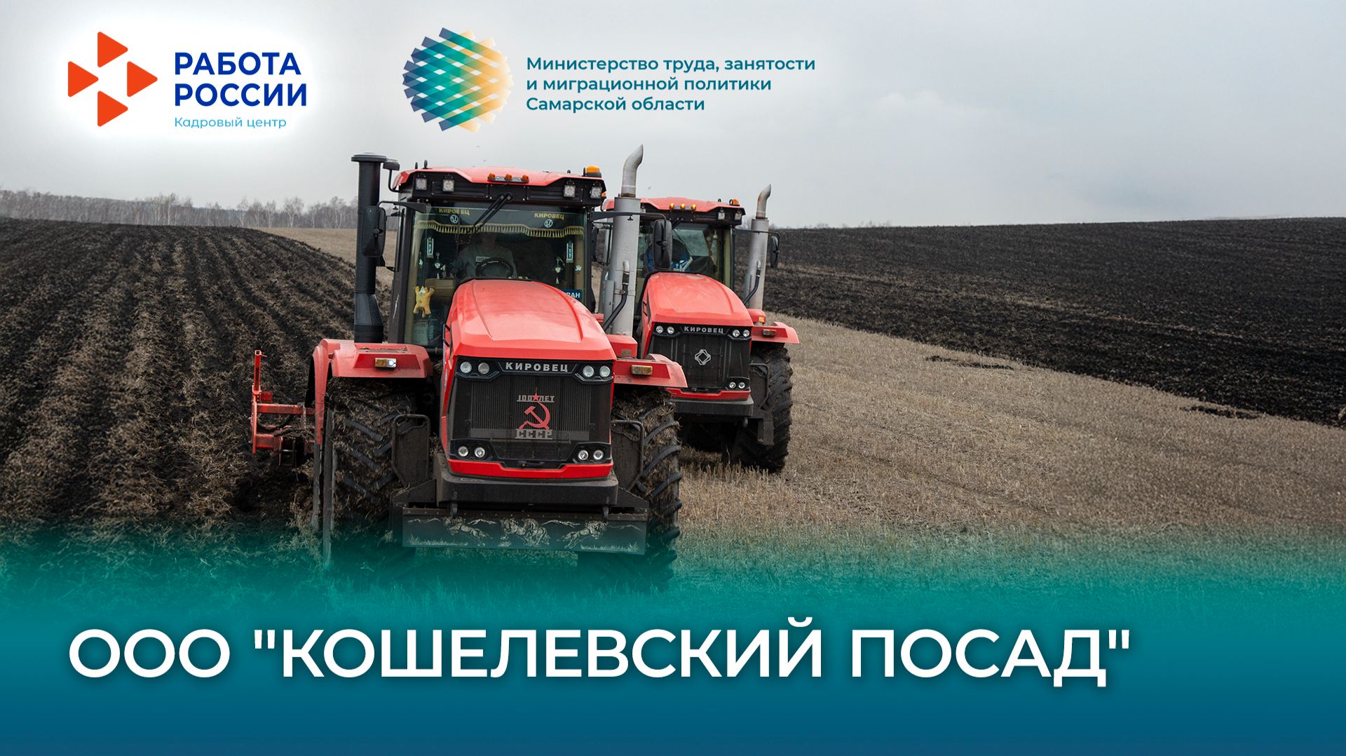 Как работают предприятия Самарской области: ООО «Кошелевский посад»