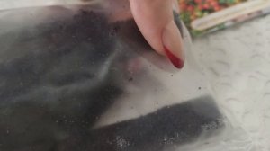 НИ ЗА ЧТО БОЛЬШЕ НЕ КУПЛЮ ТАМ СЕМЕНА//СЕЮ ТОМАТЫ НА РАННИЙ УРОЖАЙ🍅