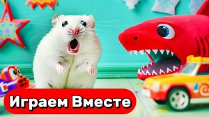 ПОБЕГ УМНОГО ХОМЯКА ИЗ СЕКРЕТНОГО ЛАБИРИНТА С ЛОВУШКАМИ 🦈 ВИДЕО ПРО ХОМЯКА ДЛЯ ДЕТЕЙ