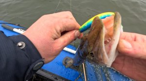 ВОЛШЕБСТВО СЛОВА "ЩУЧКА КЛЮЙ" ИЗМЕНИТ ВАШ УЛОВ