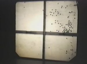 Физика. Опыты. Модель идеального газа. Опыт Эйхенвальда