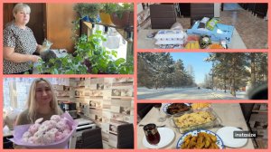 Цветы в ГОРШКИ. СВЕТОФОР 🔴🟡🟢 Есть ПОВОД/ Решили отметить 🥂