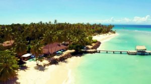 Лёха Флекс - Как Лёха