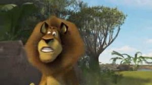 Мадагаскар безумный