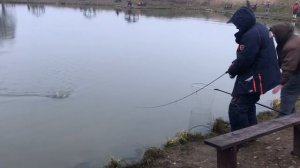 ещё одна форель в подсаке