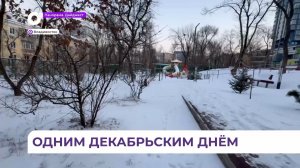 Во Владивостоке непогода ночью принесла много неприятностей