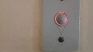 Сухарная 96/2 17 этажка лифт могилёв лифт маш 2015 грузовой 8 чел 630 кг пассажирский 400 кг 5 чел.