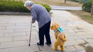 Самые смешные моменты с животными  – кошки, собаки и многое другое!