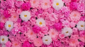 Taylor Swift - The Fate of Ophelia | Lyrics