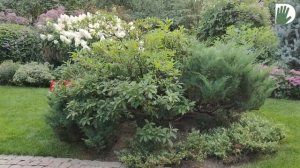 Видео журнал "СОФ №93"  Наш САД 4 сотки. ДИЗАЙН, СТРУКТУРА и УХОД