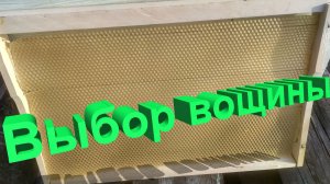 Вощина: Обычная, Полумаксимум или Максимум? Разрушаем мифы с Профессором Кашковским