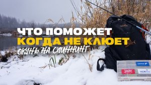 Что Поможет Когда Окунь не Клюет на Спиннинг Мотыль Сплит Шот или Микроджиг