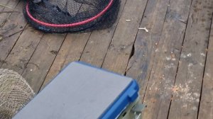 сёмкина 2 в комаровке