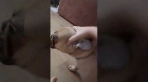 у меня сегодня онлайн уроки