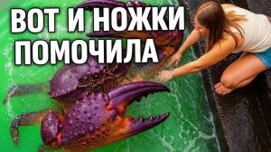 Невероятные Моменты, Снятые На Камеру