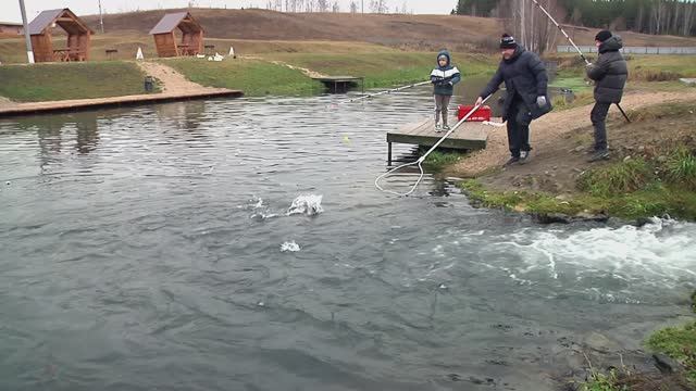 " Махна - махна ... " Музыкальная шкатулка смотреть онлайн