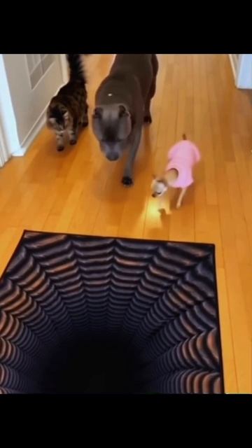 #197 || МЕМЫ || ПРИКОЛЫ || ЮМОР