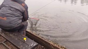 video5291892173917159055