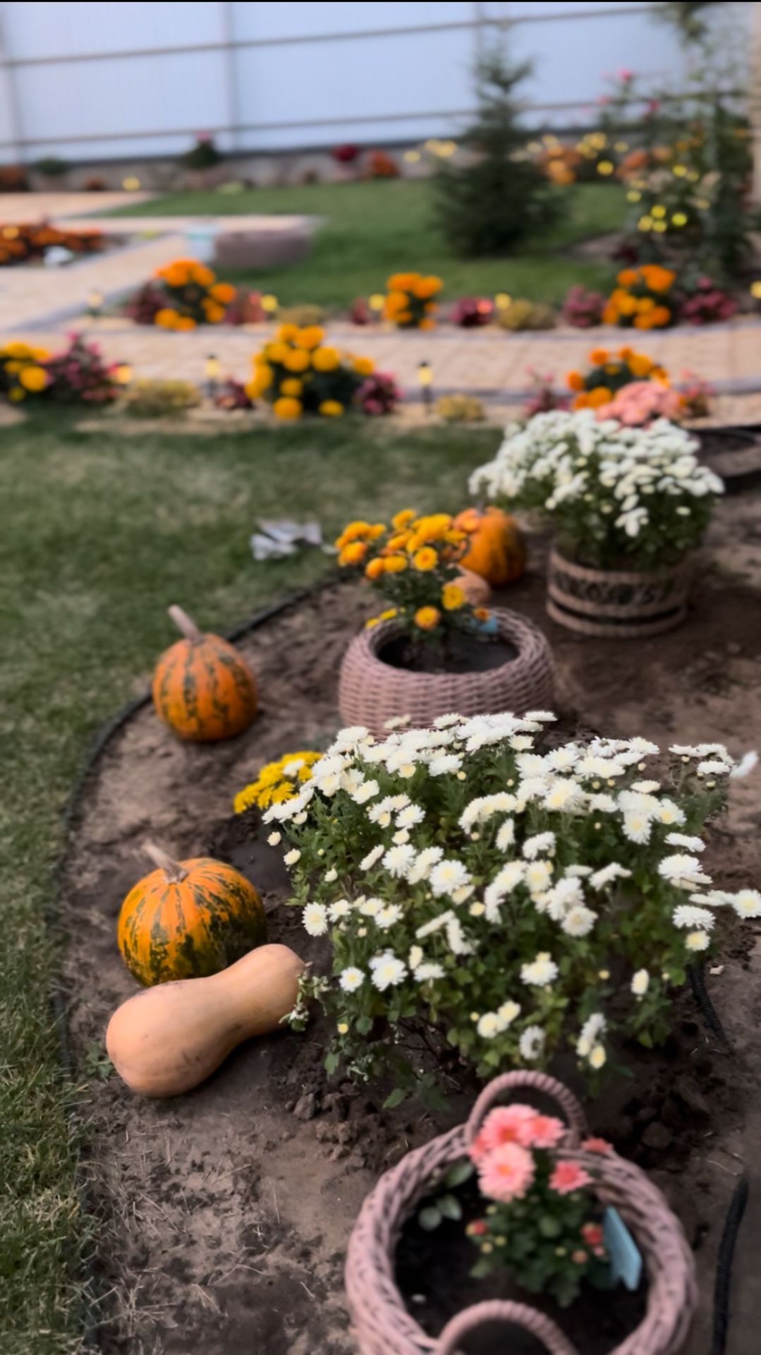 краски осени