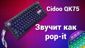 «Попит» и «Муррр» — официальный саундтрек моей работы. Обзор клавиатуры Cidoo QK75