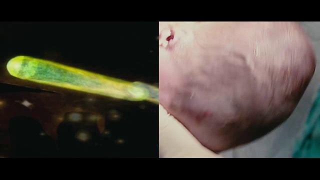 Что происходит, когда мы влюбляемся¿ (кф. Господин Никто)