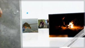 ОХОТА НА УТКУ 2024. НА ЗОРЬКЕ. Утки мого, а я мазило...