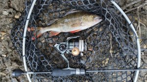 Десна  у мостов. Микро-джиг 30 ноября 2025 года