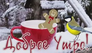 ПОЖЕЛАНИЕ ДОБРОГО УТРА ВТОРНИКА