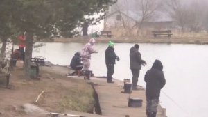 поимка форели на спиннинг