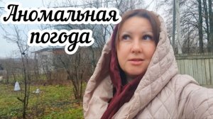Гуляю по деревне 🌳 Уборка в большом доме 🏠 Что происходит с погодой?👀