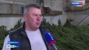 Крым начинает готовиться к Новому году