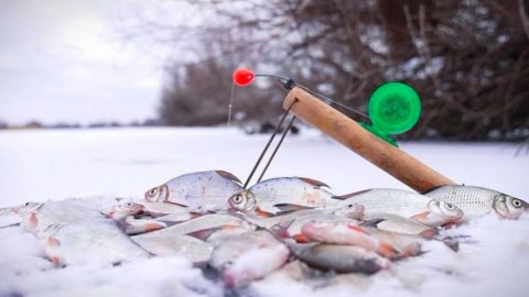 ЗИМНЯЯ РЫБАЛКА НА БОЛЬШОЙ РЕКЕ. ЖДАЛ ЭТУ РЫБАЛКУ ВЕСЬ ГОД.