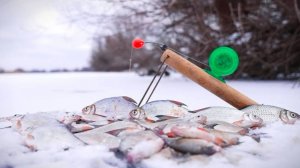 ЗИМНЯЯ РЫБАЛКА НА БОЛЬШОЙ РЕКЕ. ЖДАЛ ЭТУ РЫБАЛКУ ВЕСЬ ГОД.