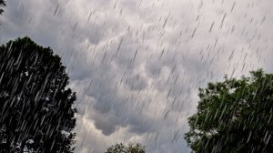 Опять дождь