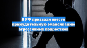 В ОП РФ предложили принудительно эмансипировать агрессивных подростков