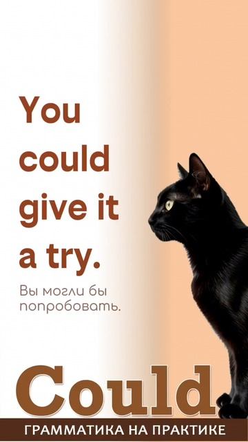 Полезные фразы с Could.