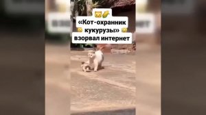 Видео от МЭН - Мне Это Нравится