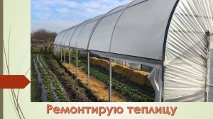 Не успел построить, уже ремонтирую теплицу. Ноябрь 2025
