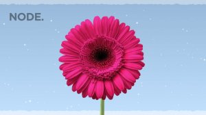 December Glow — Warm Ambient Music for Gentle Focus & Soft Daily Flow