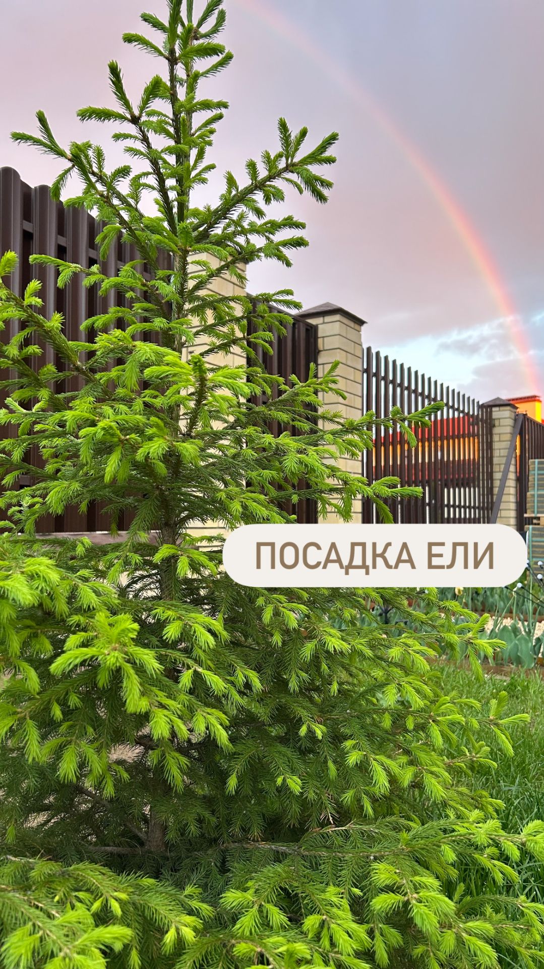 Параллельно с установкой забора...