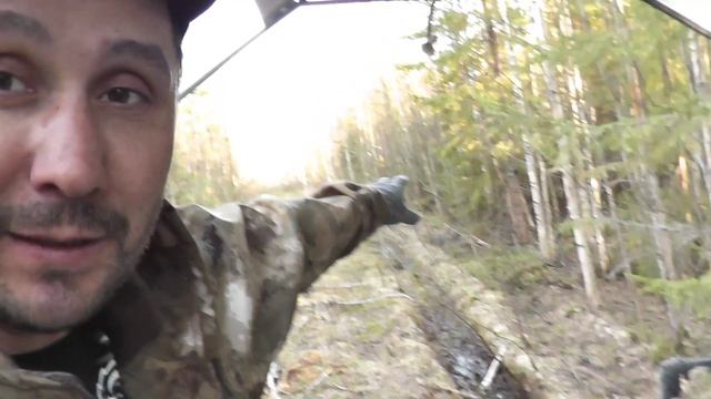 По этой дороге ходят все звери. Установил фотоловушку BolyGuard-310 в нужном месте.